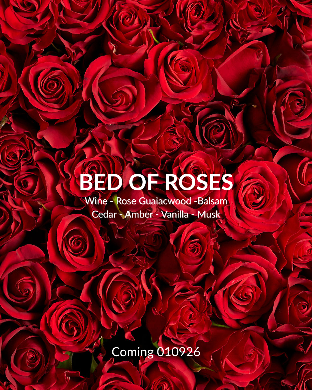 BED OF ROSES | Nourishing Body Oil